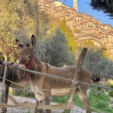 Casetta Nel Borgo Apartment