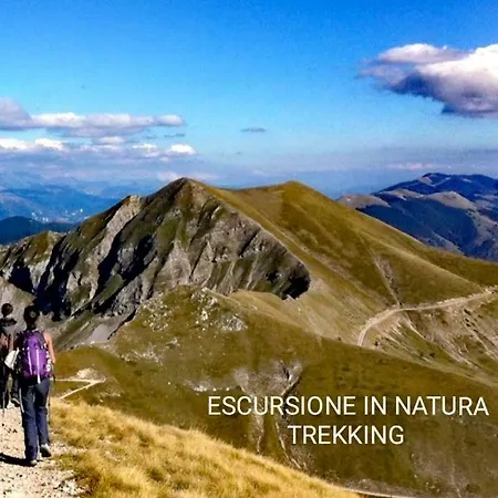 公寓 Casetta Nel Borgo Olevano Romano